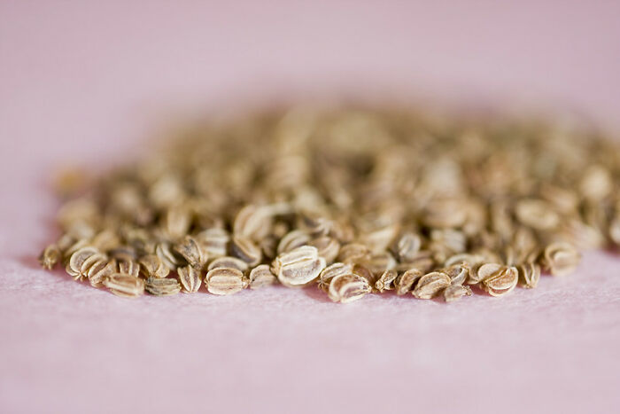 30 "American" Kitchen Essentials People Wish They Could Find Overseas