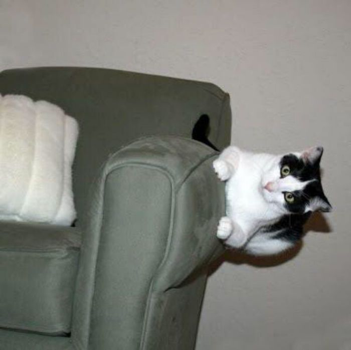 I Found The 10 Most Cursed Bored Panda Posts And Here They Are