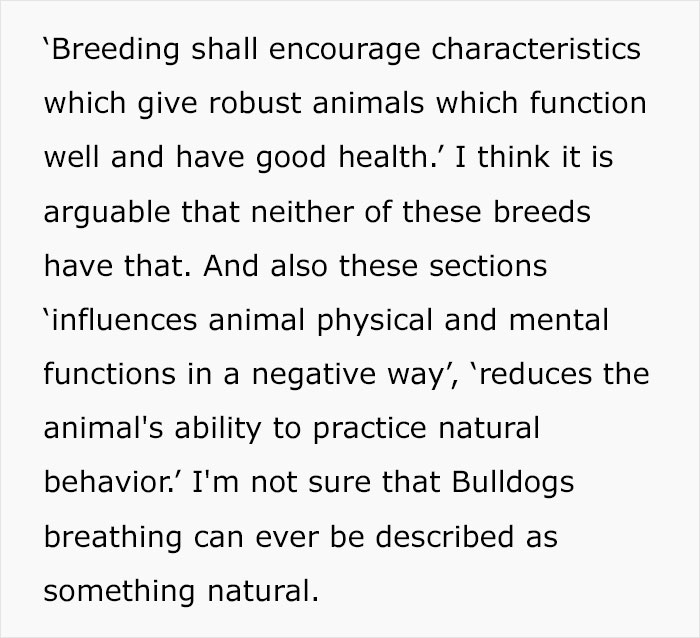 Veterinarian Goes To TikTok To Explain The Deal With Norway Banning The Breeding Of English Bulldogs And Cavalier King Charles Spaniels Veterinarian Goes To TikTok To Explain The Deal With Norway Banning The Breeding Of English Bulldogs And Cavalier King Charles Spaniels
