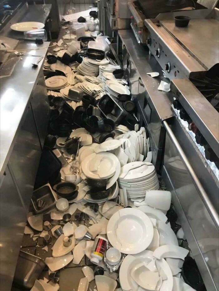 Roughly 600 Plates Broken