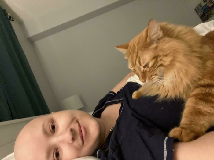 My Adopted Cat Cheering Me Up On Tough Chemo Days