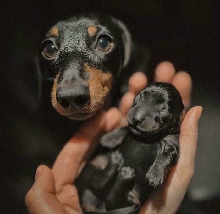 Look At This Proud Momma! Thought Everyone Should See This Insanely Adorable Picture