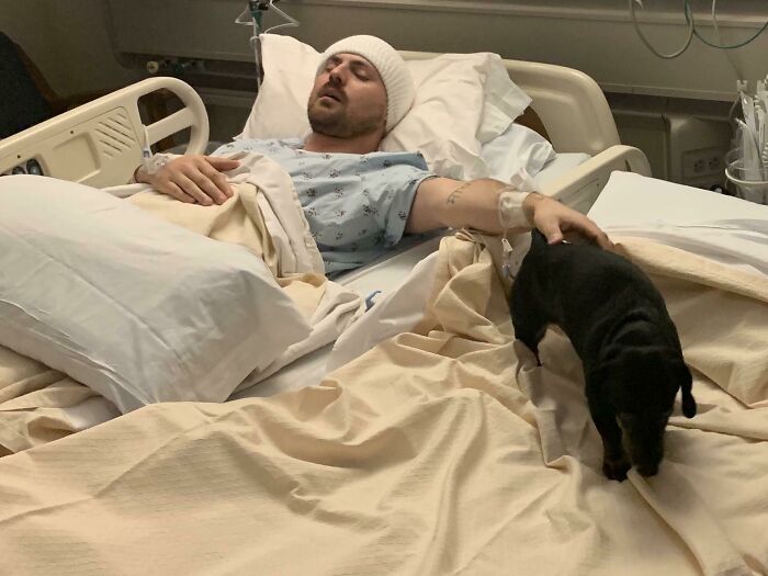 El hospital dejó que mi perro se quedara conmigo después de una operación del cerebro
