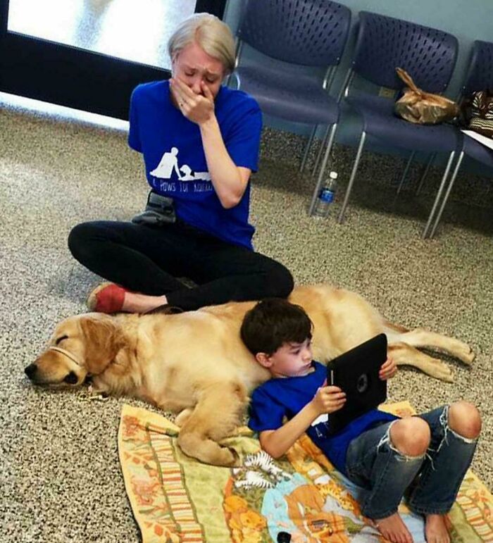 An Autistic Boy, Who Can't Be Touched, Connects With A Service Dog, As His Mom Bursts Into Tears Of Hope And Joy
