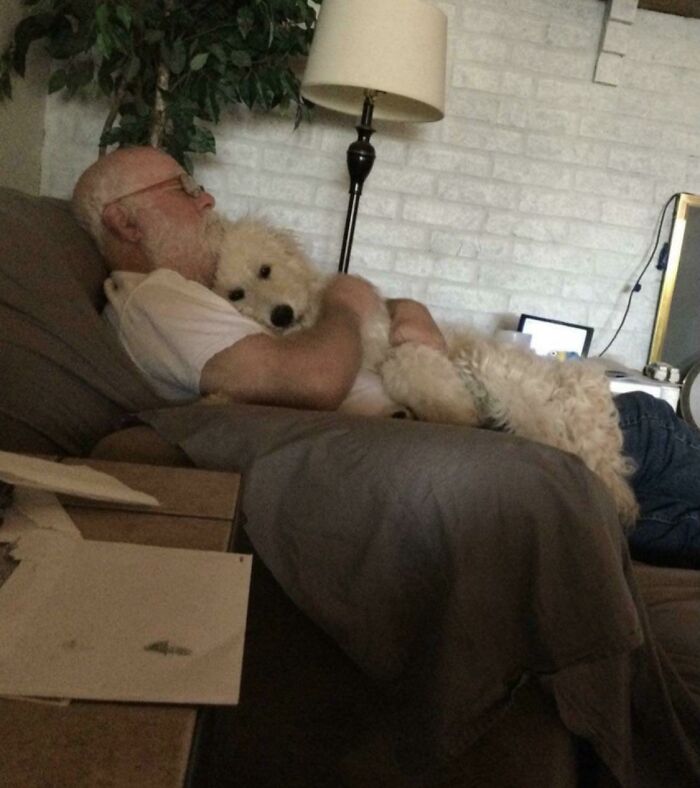 Mi papá estaba lidiando con mucho estrés, así que decidimos comprarle un perro para ver si lo ayudaba. A juzgar por el montón de mimos, misión cumplida