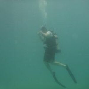 pjmckenna1991 avatar