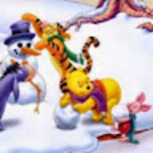 marcellavanrenselaar avatar