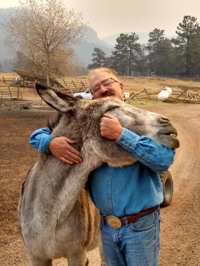 Un hombre de Colorado se reúne con su burro, Ennis, tras el incendio que arrasó su pueblo