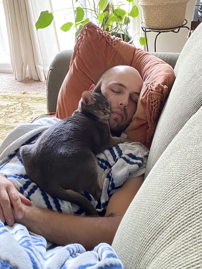 Our Cat Has Been Glued To My Boyfriend After We Returned Home From A Week-Long Trip