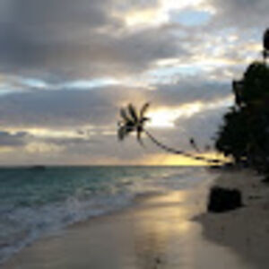 samanthabennison avatar