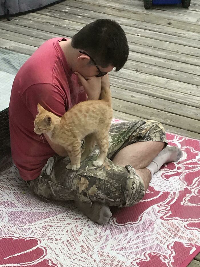 Here’s My Autistic Brother Playing With Some Cats That Wandered Onto Our Deck. God I Love This Image
