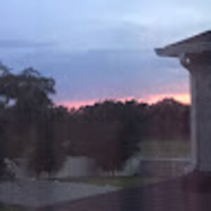 nothinkbrainmt avatar