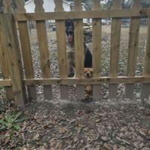 bobbyvicky6568 avatar