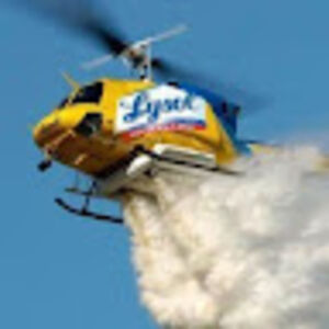 sparklemonkey avatar