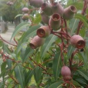 elainem_henderson avatar