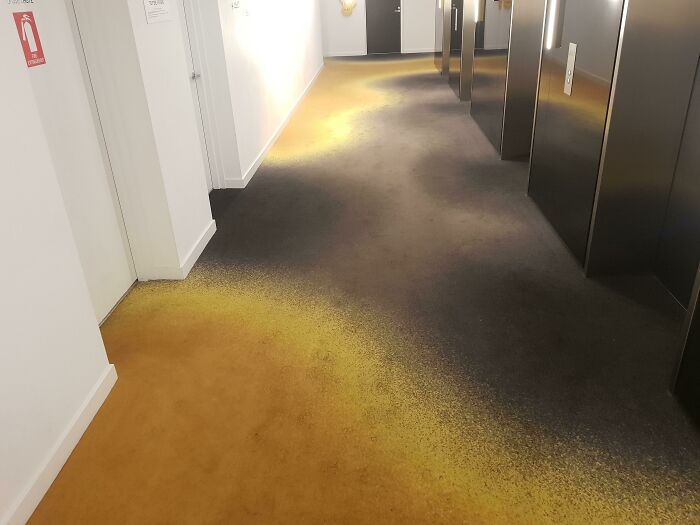 Brand New Apartments And Someone Thought This Was A Good Carpet Design But It Just Looks Like The Floor Is Rotting