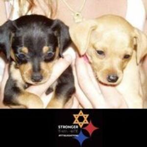 ladymorgan222 avatar