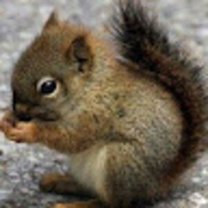 bonniewhite_1 avatar