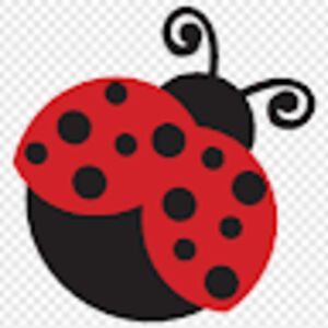 elenabugmangold avatar