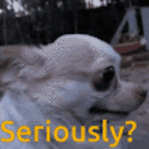 danielarmenta avatar