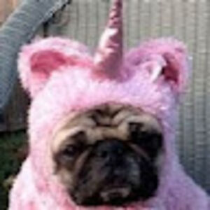 sebastiandill avatar