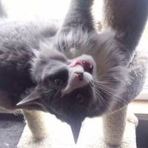 murphyclan2015 avatar