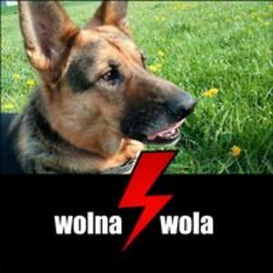 aaliyahcathurricane avatar