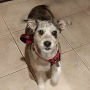 yvonne_helene avatar