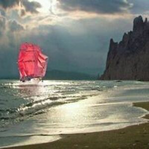 catwomandorene61 avatar