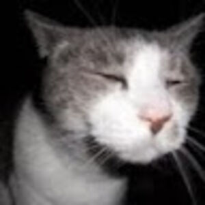 kitrinacervantes avatar