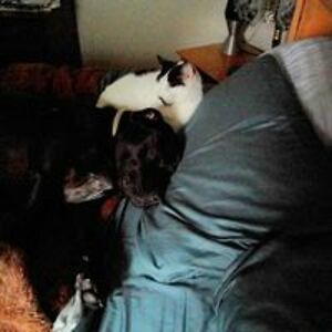 michel_phillips avatar