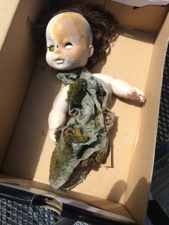 My Best Friends 3yr Old Daughter Found This Buried In The Backyard And Started Chasing Her Older Brother With It While Shouting, "My Baby, My Baby!"