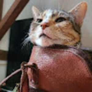 kristinalareau avatar