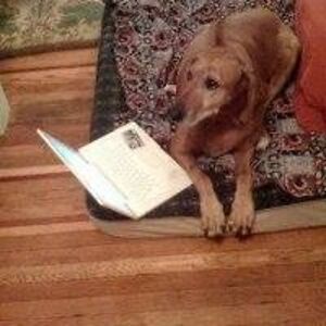 craigsoccercoach avatar