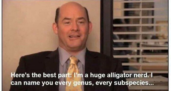 In The Office, Todd Packer Says He Knows Every Alligator Genus And Subspecies. The Only Alligator Genus Is “Alligator” And There Are No Subspecies