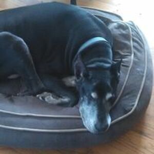 nancy_white_1 avatar