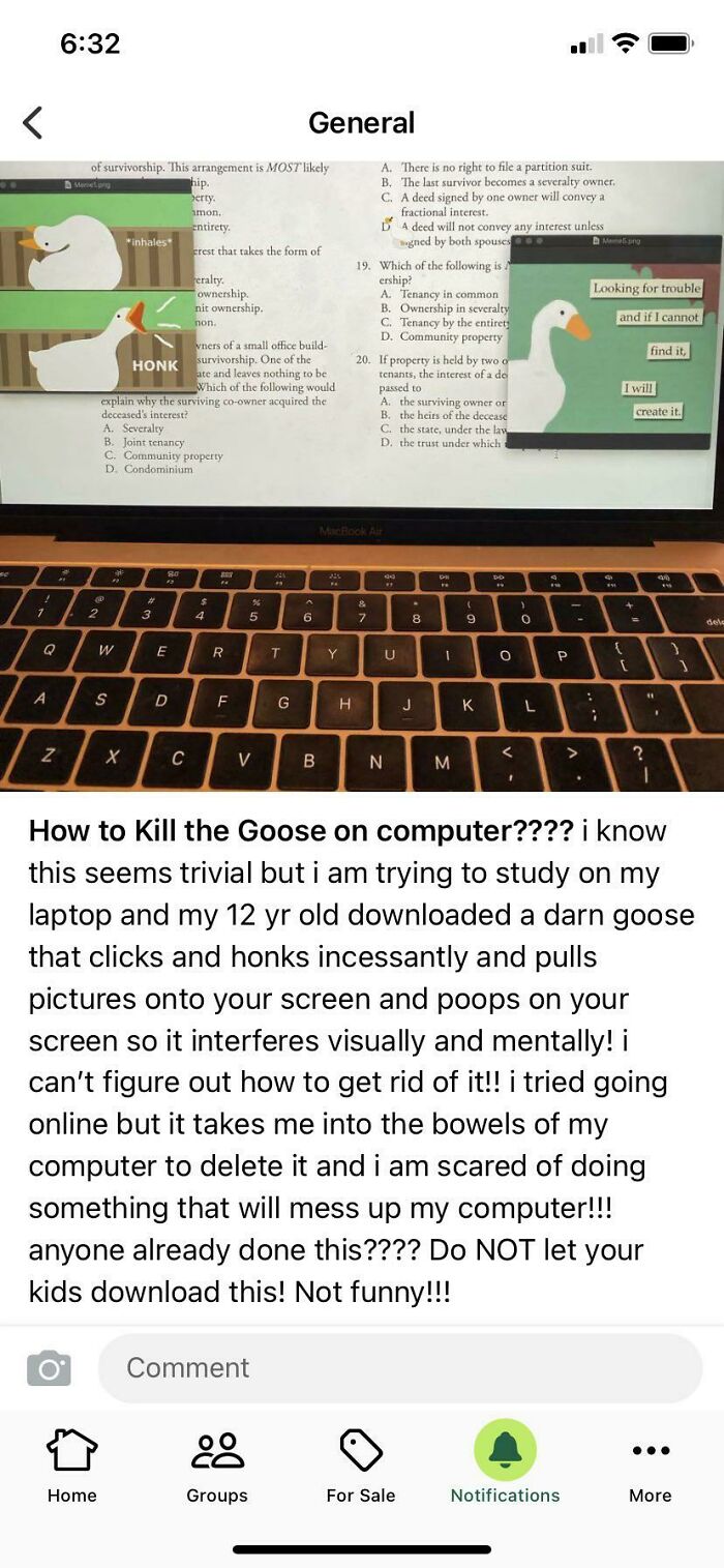 Computer Goose