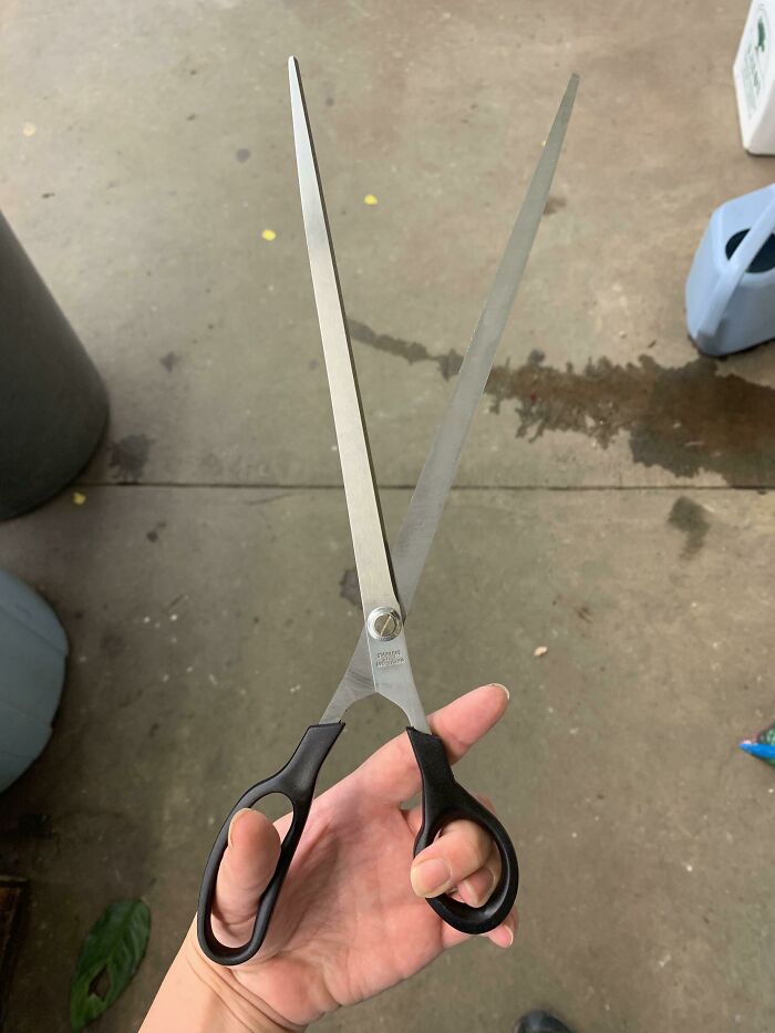 Extra Long Scissors For Wrapping Paper, Hand For Scale