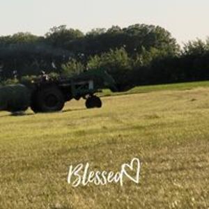 slushygrape253 avatar