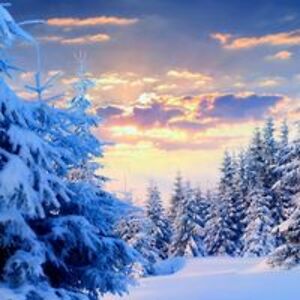 etherealbluerainbow avatar