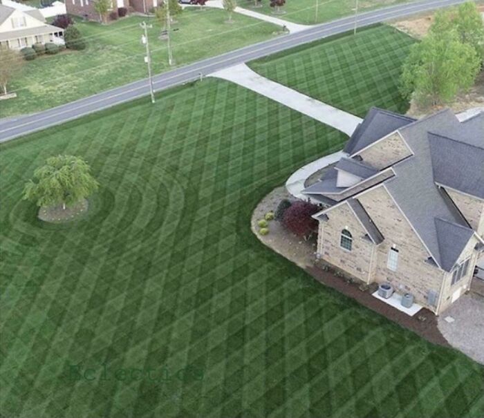 This Lawn Is Every Suburban Dad's Dream