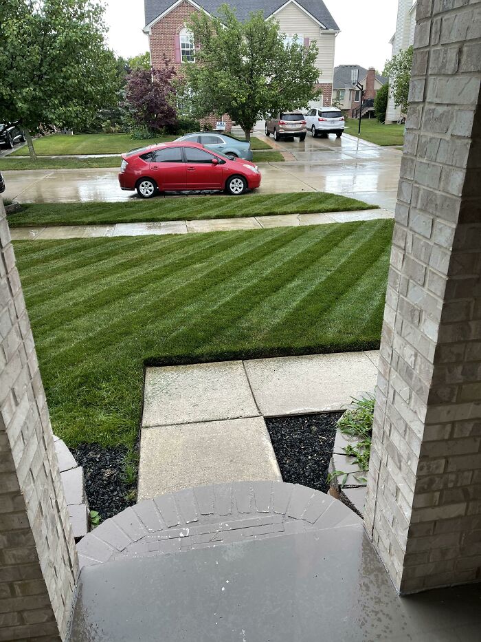 Just Finished Giving My Lawn A Haircut