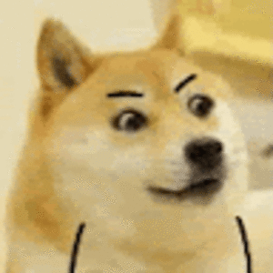 adalynngalassi avatar