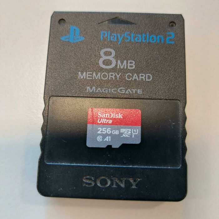 My Colleague Just Bought The Biggest SD Card That She Could Find For Her Switch And We Did A Comparison To A Standard PS2 Memory Card