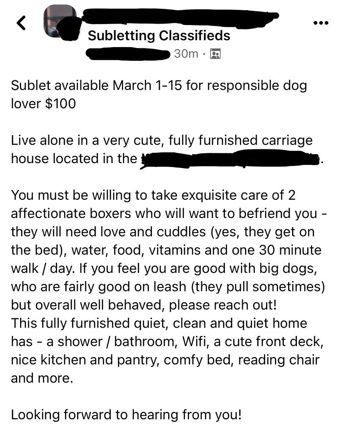 Choosing Beggar Wants You To Pay To Watch Their Dogs