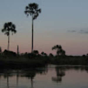 rosalindegradenwitz avatar