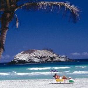 cskeffington1 avatar