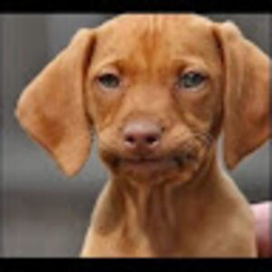 cathyvilleneuve avatar