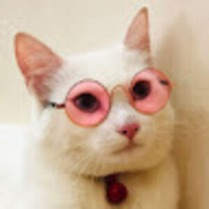 nguyenthucanh avatar