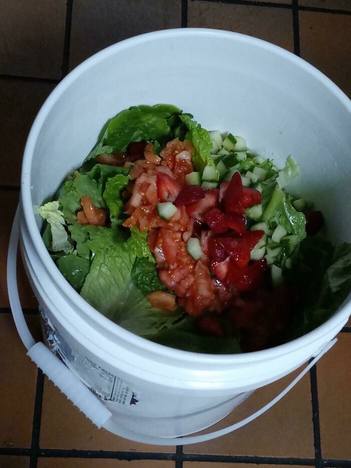 Any Other People Have Compost Buckets At Their Restaurant? Ours Is For A Coworker With Chickens, They Eat Everything We Put In The Buckets Except Onions